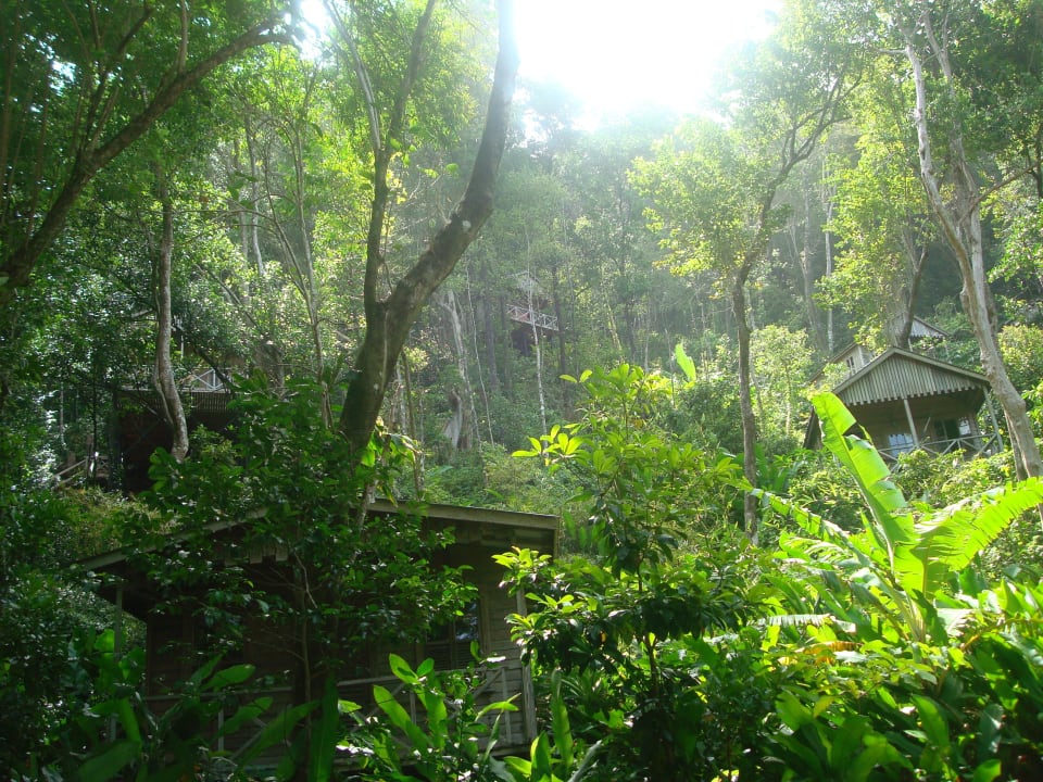Unterkünfte versteckt im Dschungel Hotel Jungle Bay Resort & Spa