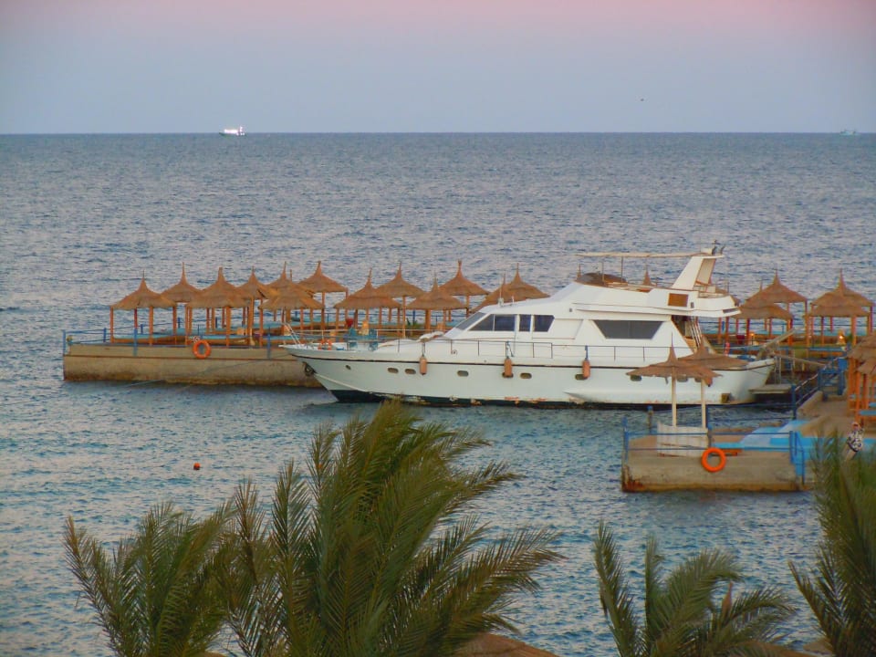 Blick aus Zimmer 3008 Beach Albatros Resort
