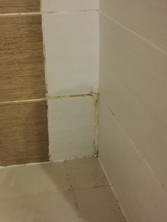 Zimmer Royal Star Beach Resort