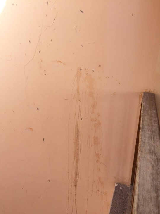 Ein sehr appetitlicher Anblick... Titanic Beach Spa & Aqua Park