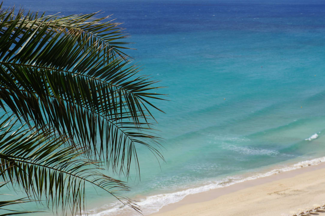 Ausblick ROBINSON ESQUINZO PLAYA
