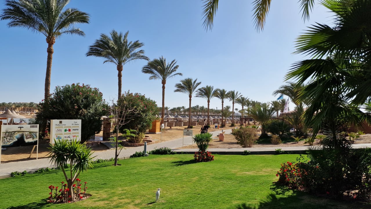 Gartenanlage Steigenberger Coraya Beach - Adults only