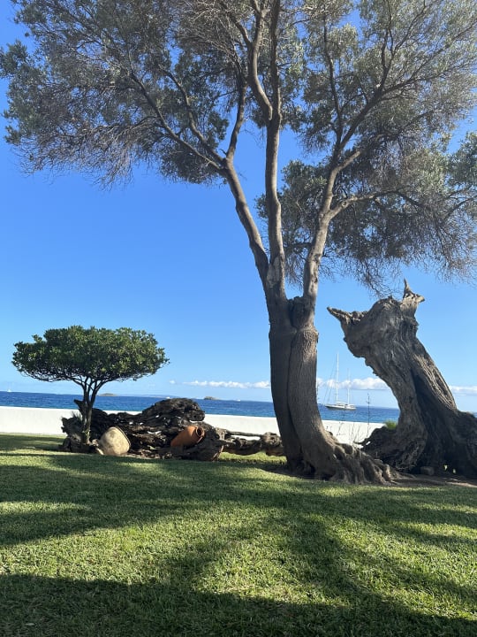 Außenansicht THB Los Molinos - Adults only