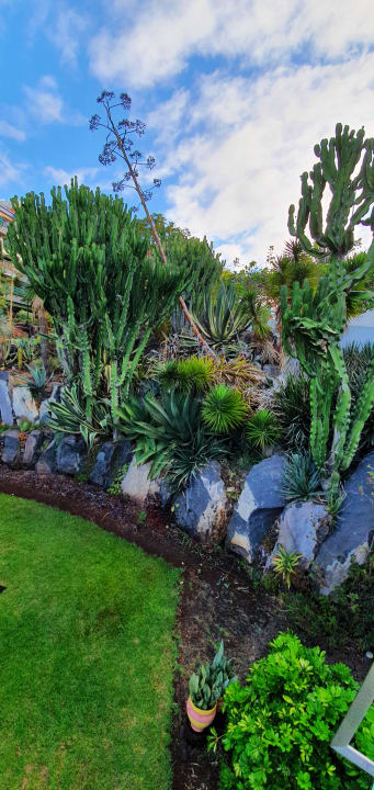 Gartenanlage Pestana Grand Ocean Resort