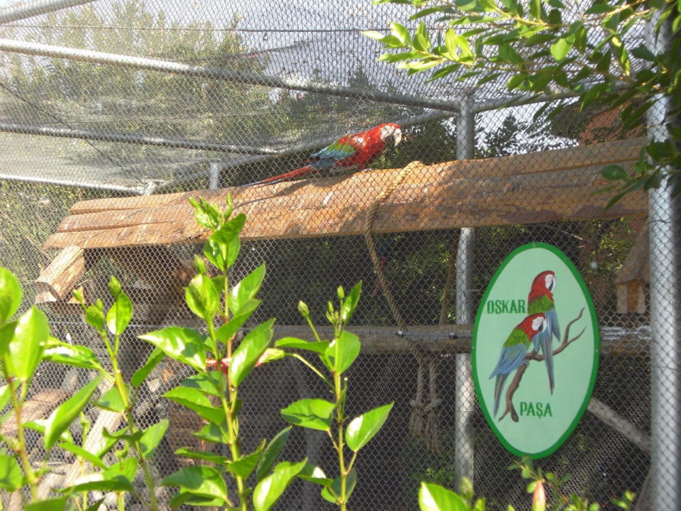 Da Oskar  Alba Resort Hotel