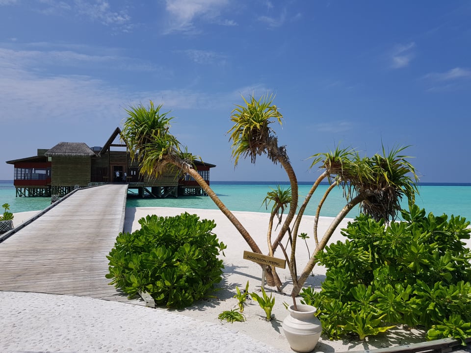 Blick auf die Spezialitäten Restaurants  OZEN LIFE MAADHOO