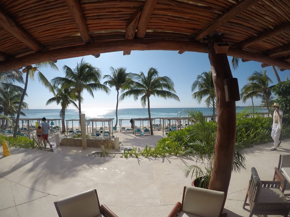 Gastro Akumal Bay Beach & Wellness Resort