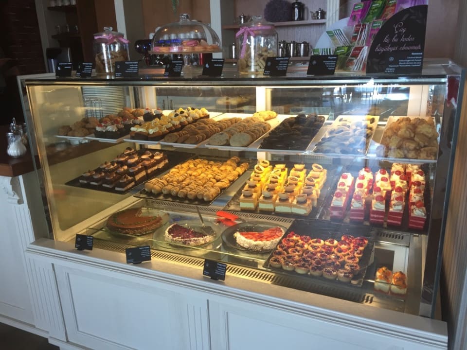 Gastro GRIFID Vistamar