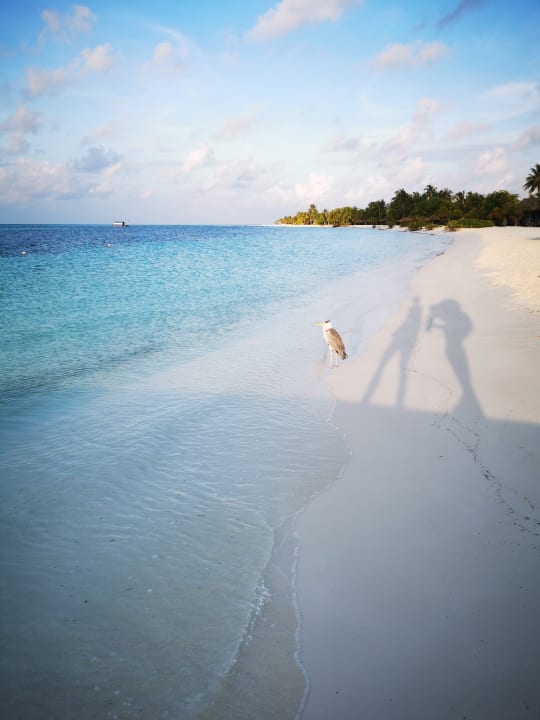 Strand Kuredu Island Resort & Spa