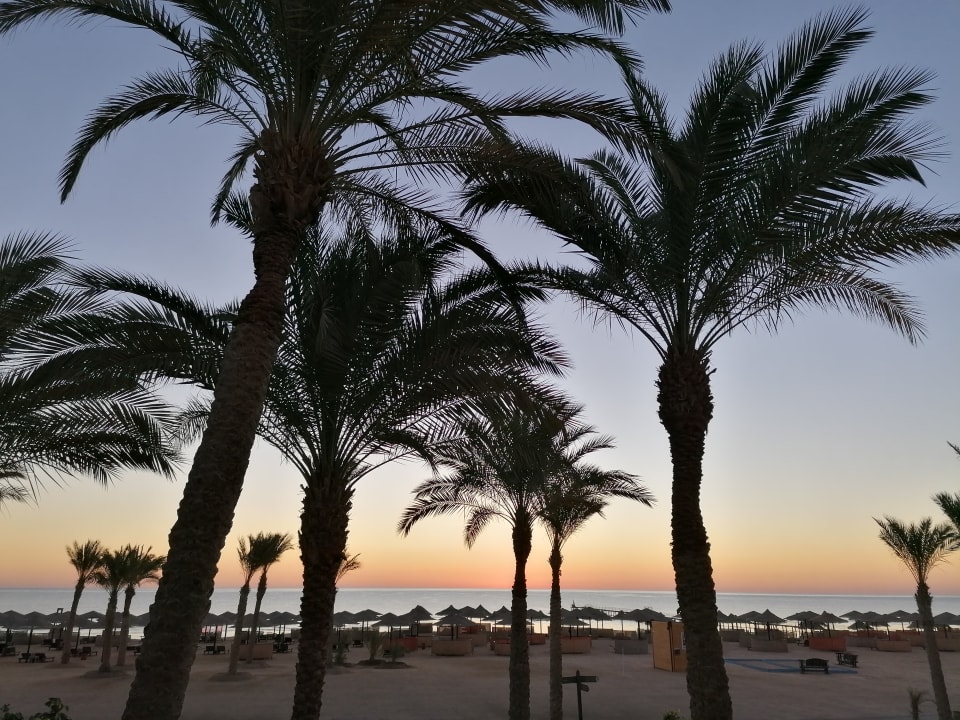 Strand Pickalbatros Sands Hotel - Port Ghalib