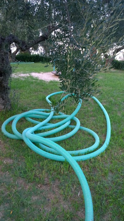 auf dem spielplatz El Mouradi Club Kantaoui