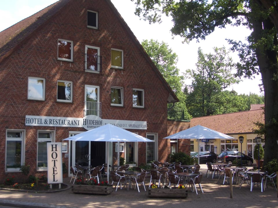 "Terrasse Restaurant Heide..." Hotel Heidehof Bispingen (Bispingen ...