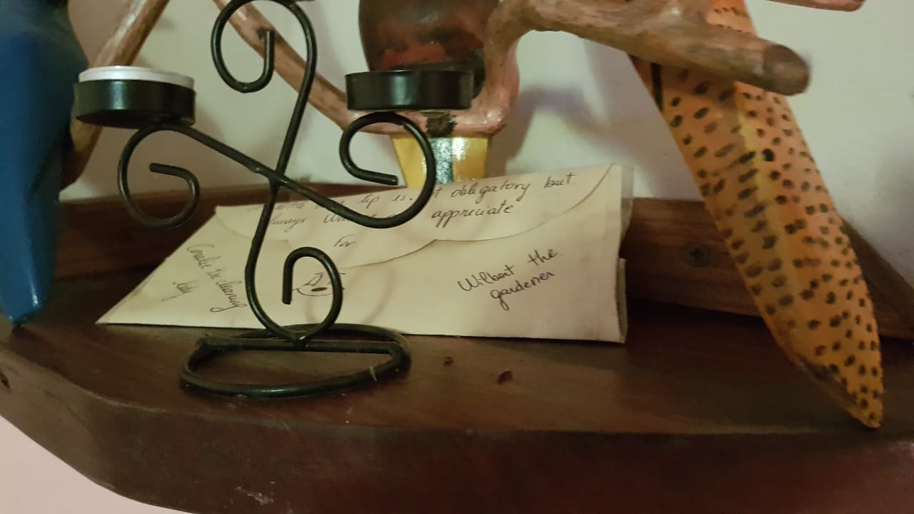 Zimmer Pachamama Jungle River Lodge - Punta Uva