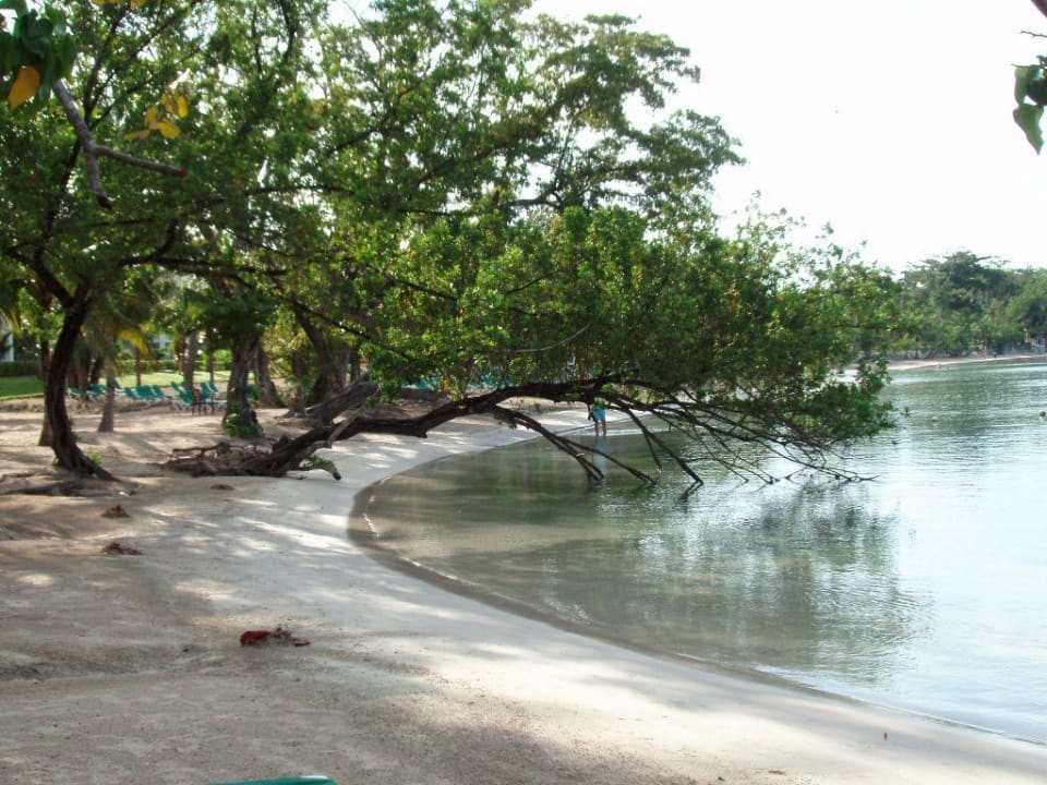 Morgens am Strand Hotel Riu Negril