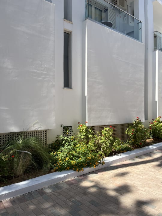 Sonstiges allsun Hotel Carolina Mare