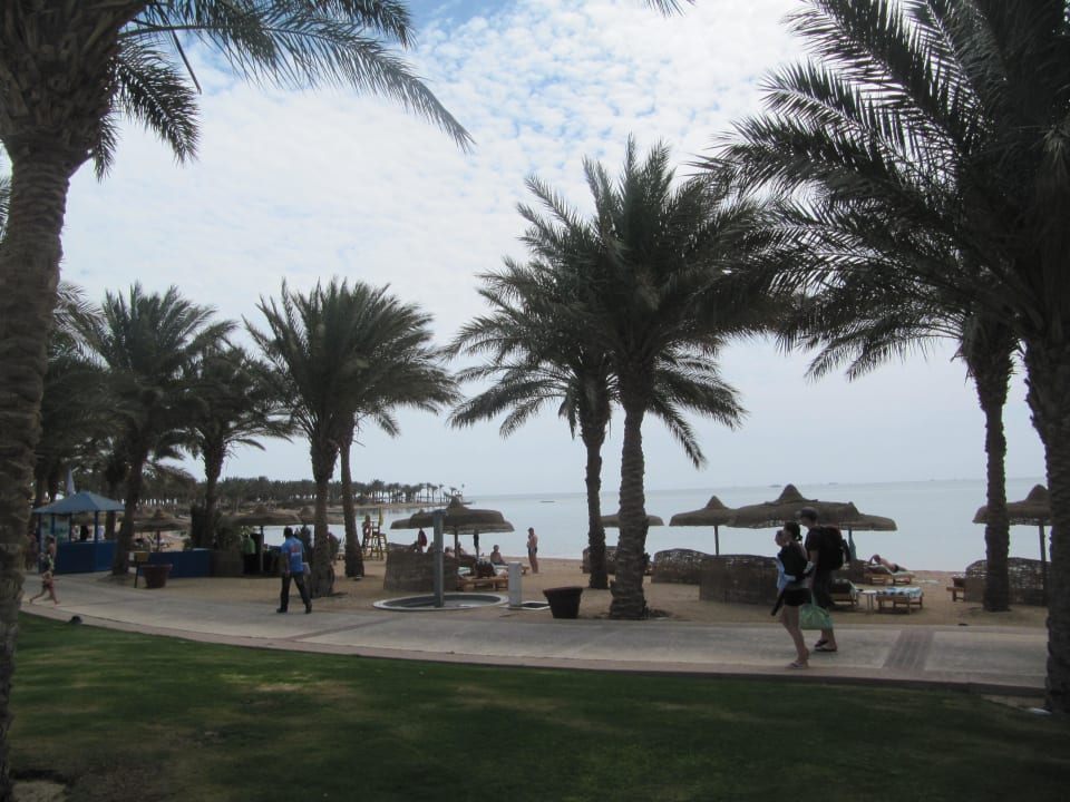 Plaża Palm Royale Resort - Soma Bay