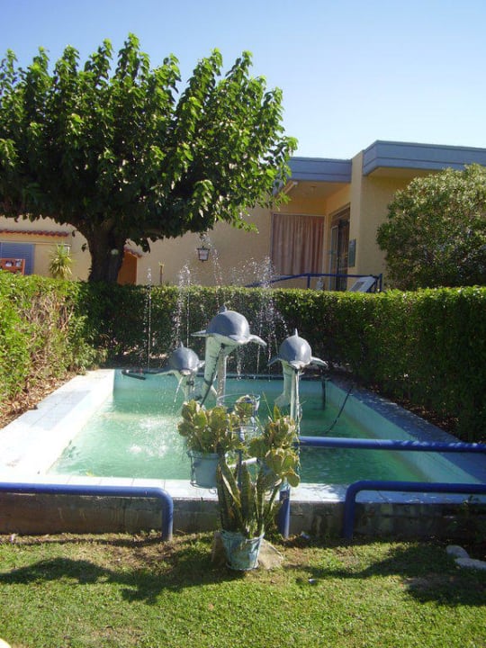 Delfine vor dem Restaurant Hotel Golden Odyssey