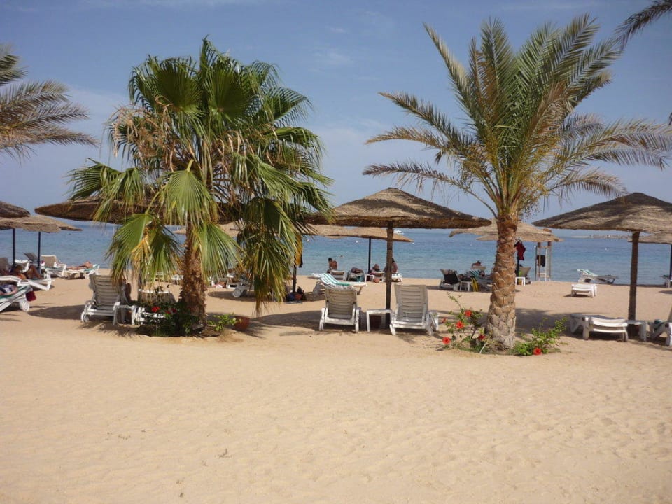 Genügend Liegen für alle Fort Arabesque Resort, Spa & Villas