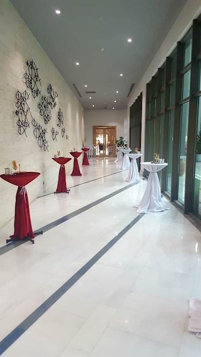 Gastro Acanthus Cennet Barut Collection