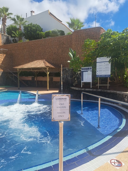 Pool Landmar Playa La Arena