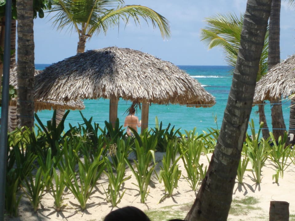 Grand Palladium Bavaro Resort & Spa  Grand Palladium Punta Cana Resort & Spa