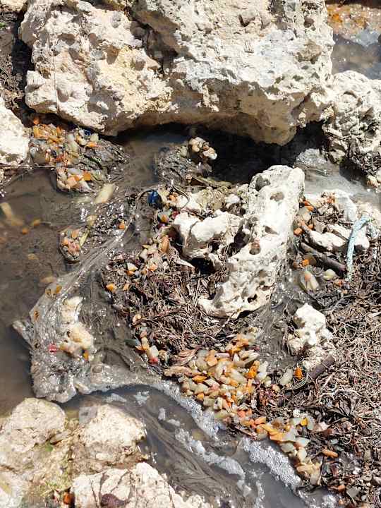 Strand Jaz Adonia Beach Resort