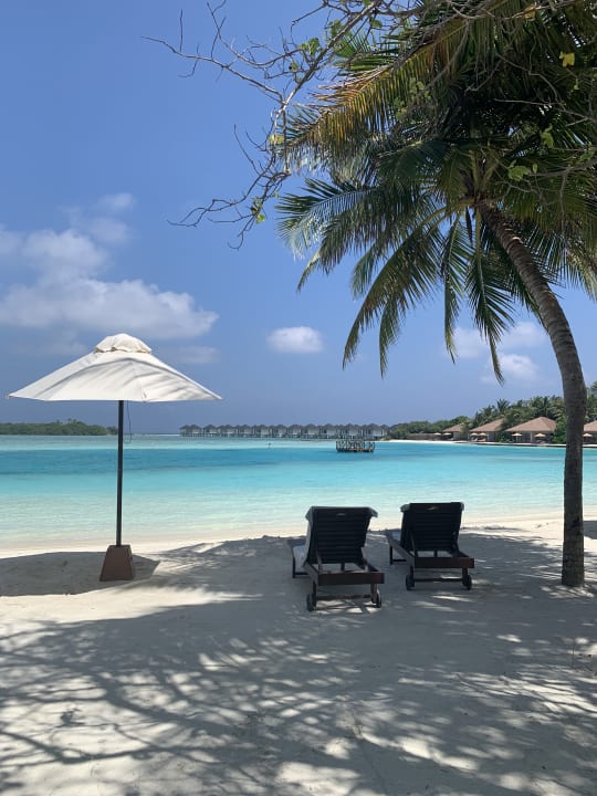 Strand Cinnamon Dhonveli Maldives