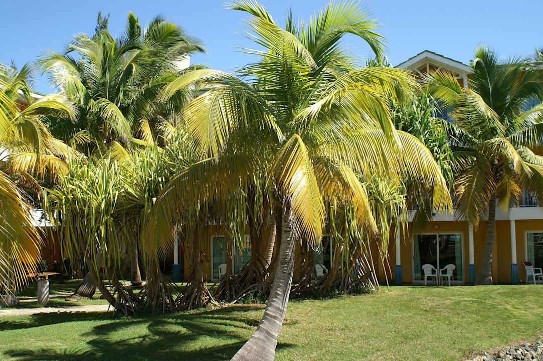 Der Garten kann nicht alles verstecken Melia Las Antillas - Adults only