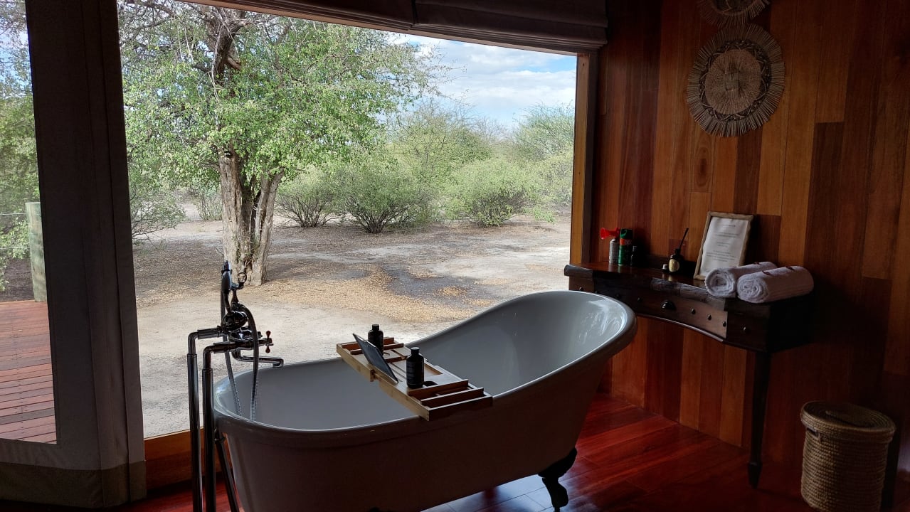 Zimmer Evolve Back Kalahari