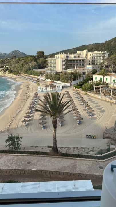 Zimmer Son Moll Sentits Hotel & Spa