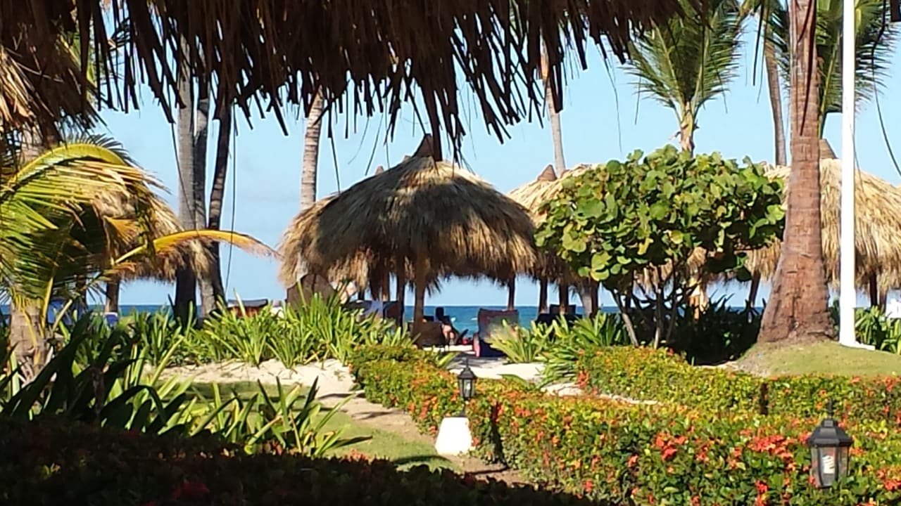 Ausblick TRS Turquesa Hotel - Adults only