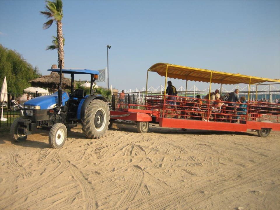 Shuttle zum Strand Dream Family Club