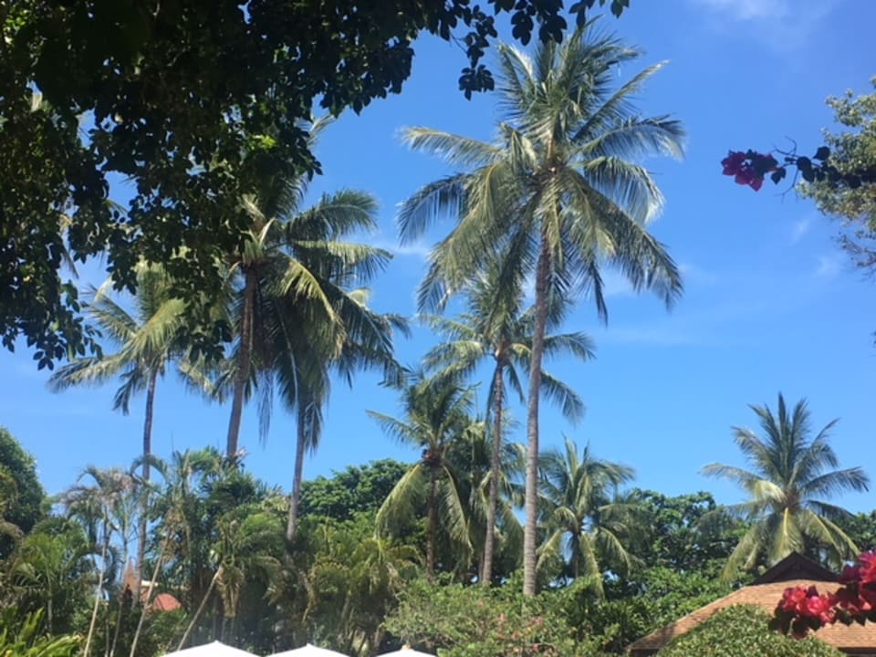 Gartenanlage The Fair House Beach Resort