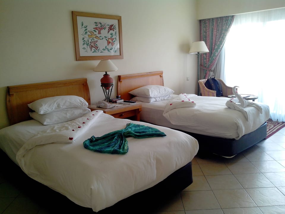 Zimmer Safir Sharm Waterfalls Resort