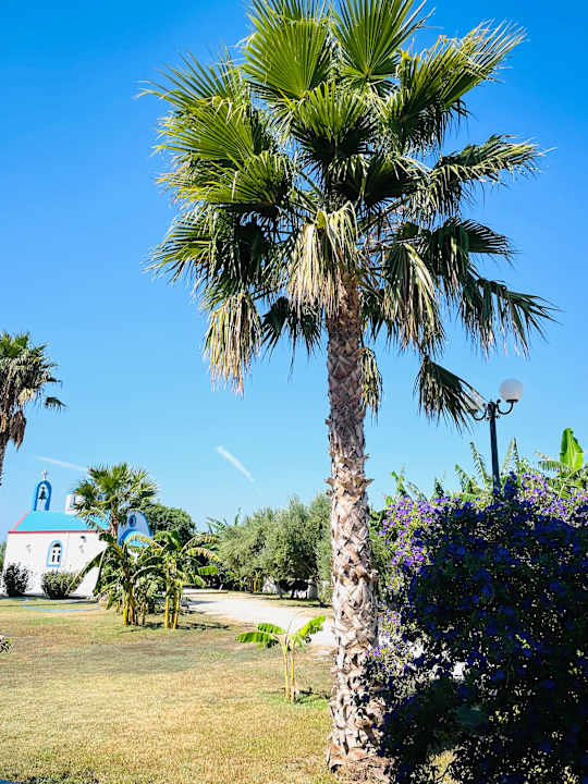 Gartenanlage Hotel Tigaki's Star