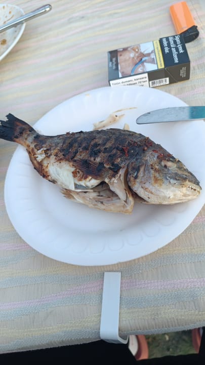 Gastro Green Paradise Beach Hotel