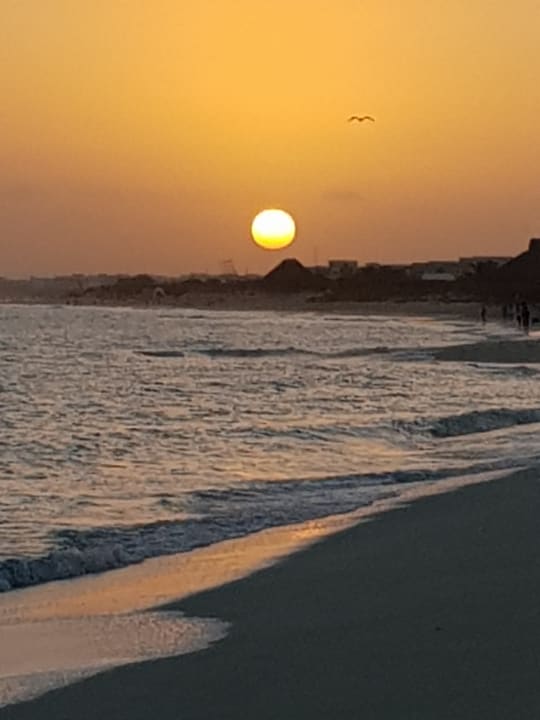 Strand Melia Las Dunas