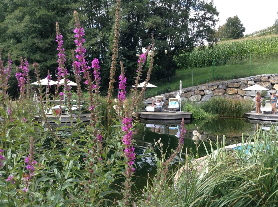 Gartenanlage Heilthermen Resort Bad Waltersdorf