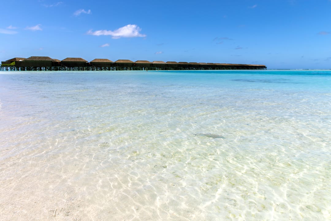 Strand Meeru Maldives Resort Island