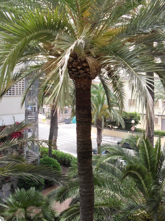 Einzelzimmer mit Blick zur Strasse The Sea Hotel by Grupotel - Adults only