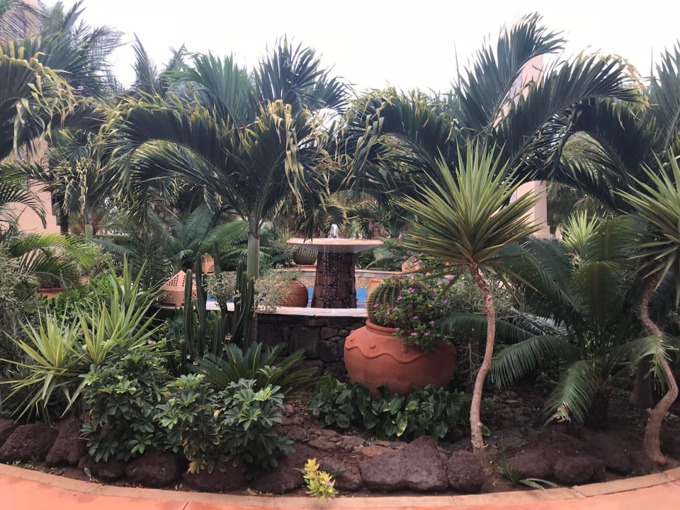 Gartenanlage Hotel Riu Touareg