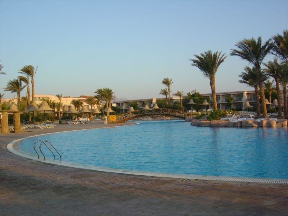 Grosser Pool Parrotel Beach Resort