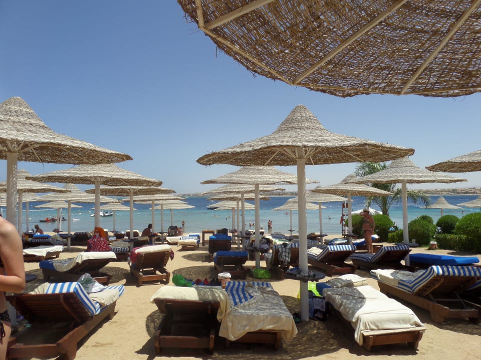 Plaża Prima Life Makadi Resort