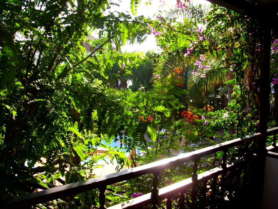 Blick von unserem Balkon zum Pool Hotel Parque Tropical