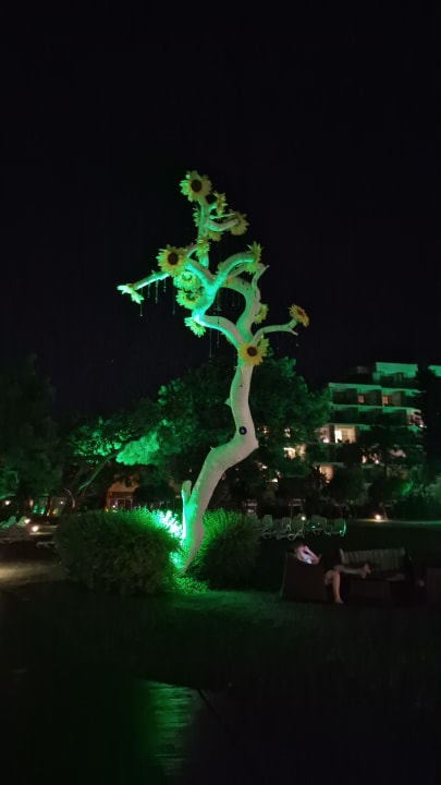 Außenansicht TUI MAGIC LIFE Beldibi +16