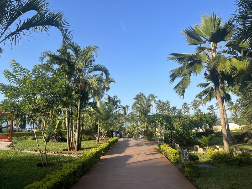 Gartenanlage TUI Blue Bahari Zanzibar