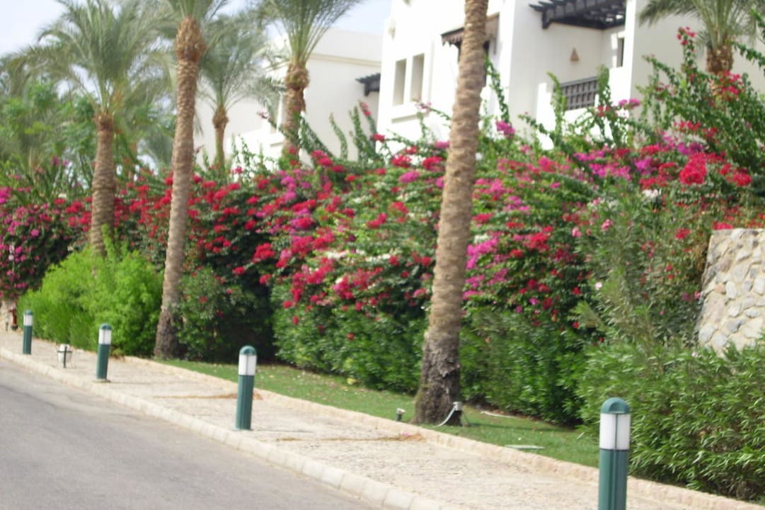 Hotel Sharm Plaza Sharm Plaza