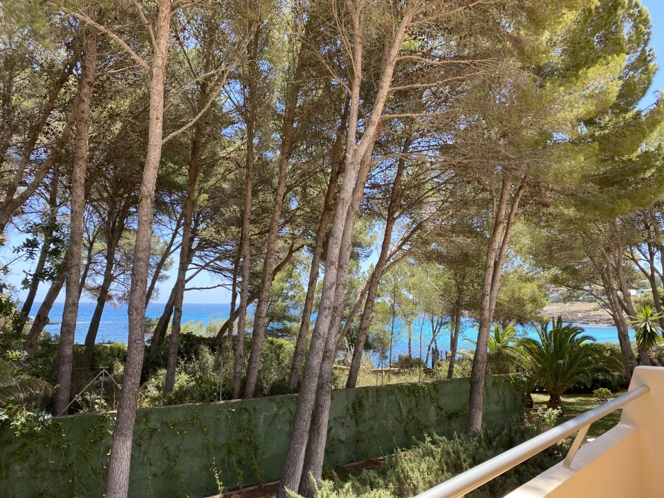 Ausblick Iberostar Waves Pinos Park