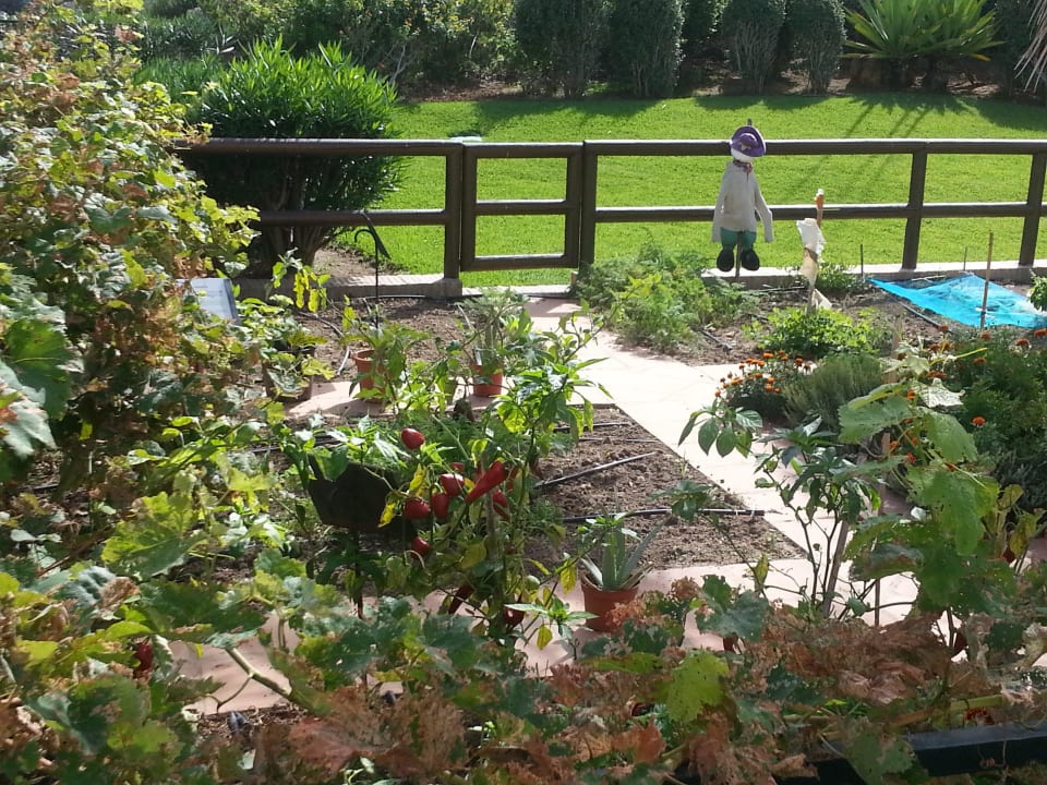 Der hoteleigene Gemüsegarten Fuerte Conil-Resort