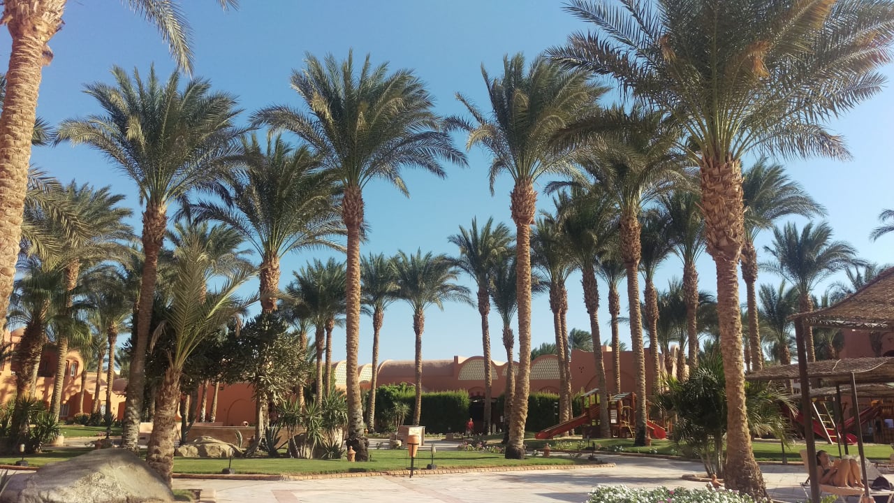 Gartenanlage Jaz Makadi Oasis Resort